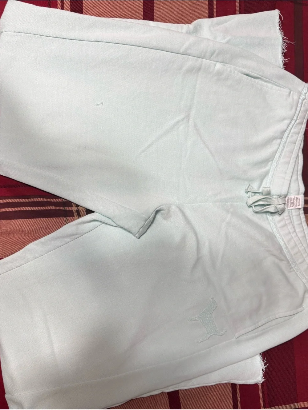 Light Mint Casual Pants
